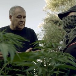 Antonio García Ferreras entre plantas de marihuana en 'Estrecho'