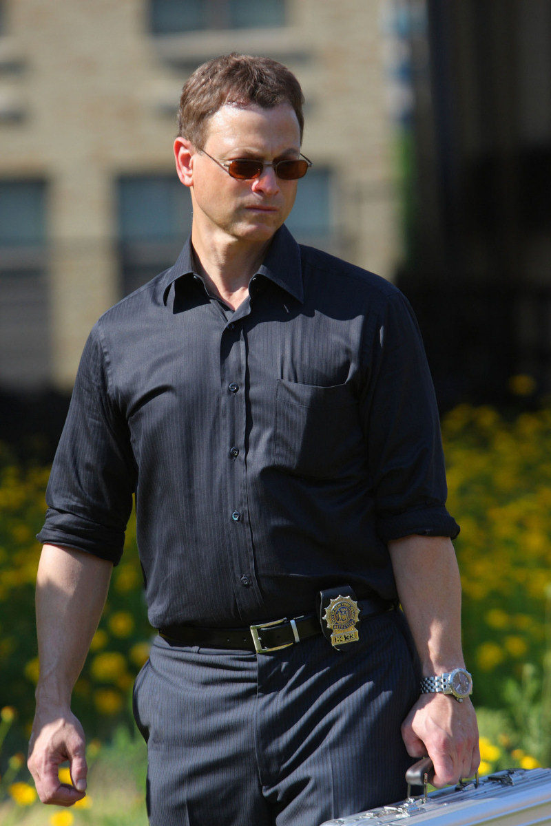 Gary Sinise en 'Todo queda en familia'