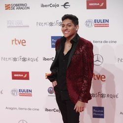 Alfonso, concursante de 'OT 2018' en los Premios Forqué 2019