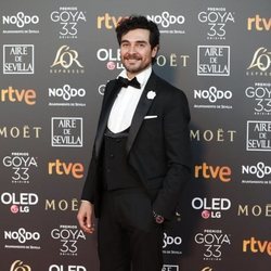 José Manuel Seda en la alfombra roja de los Premios Goya 2019