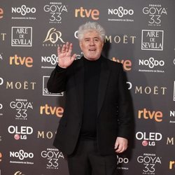 Pedro Almodóvar en la alfombra de los Premios Goya 2019