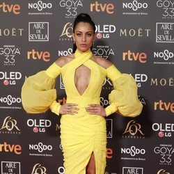 Hiba Abouk posando en la alfombra roja de los Premios Goya 2019