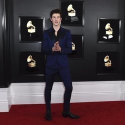 Shawn Mendes, en la alfombra roja de los Premios Grammy 2019