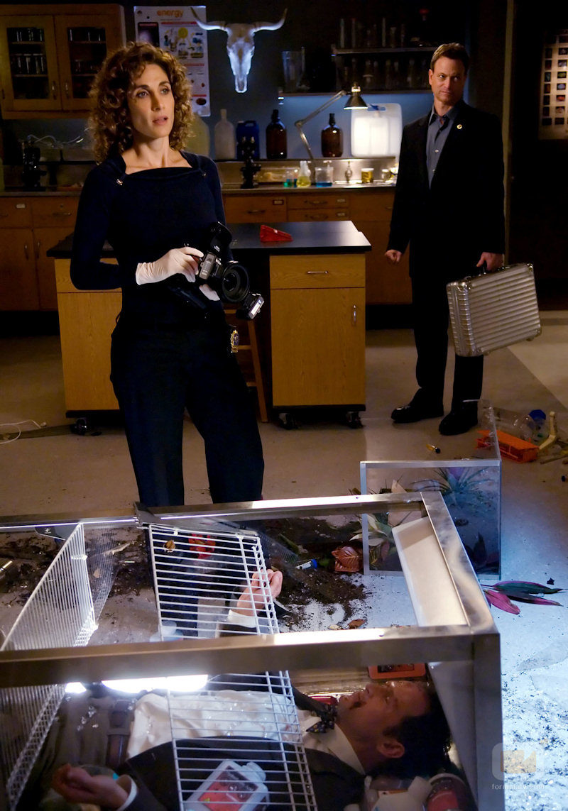 Melina Kanakaredes y Gary Sinise en 'CSI: Nueva York'