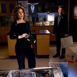 Melina Kanakaredes y Gary Sinise en 'CSI: Nueva York'