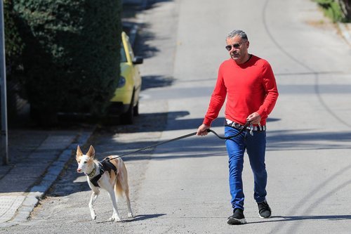 Jorge Javier Vázquez paseando con su perro durante su recuperación