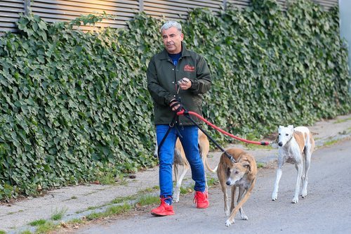 Jorge Javier Vázquez dando un paseo con sus perros durante sus días de reposo