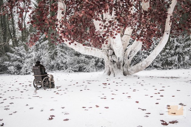 Bran Stark, sentado frente el Arciano en el 8x02 de 'Juego de Tronos'
