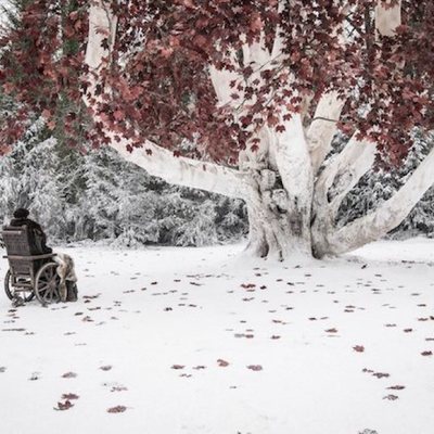 Bran Stark, sentado frente el Arciano en el 8x02 de 'Juego de Tronos'