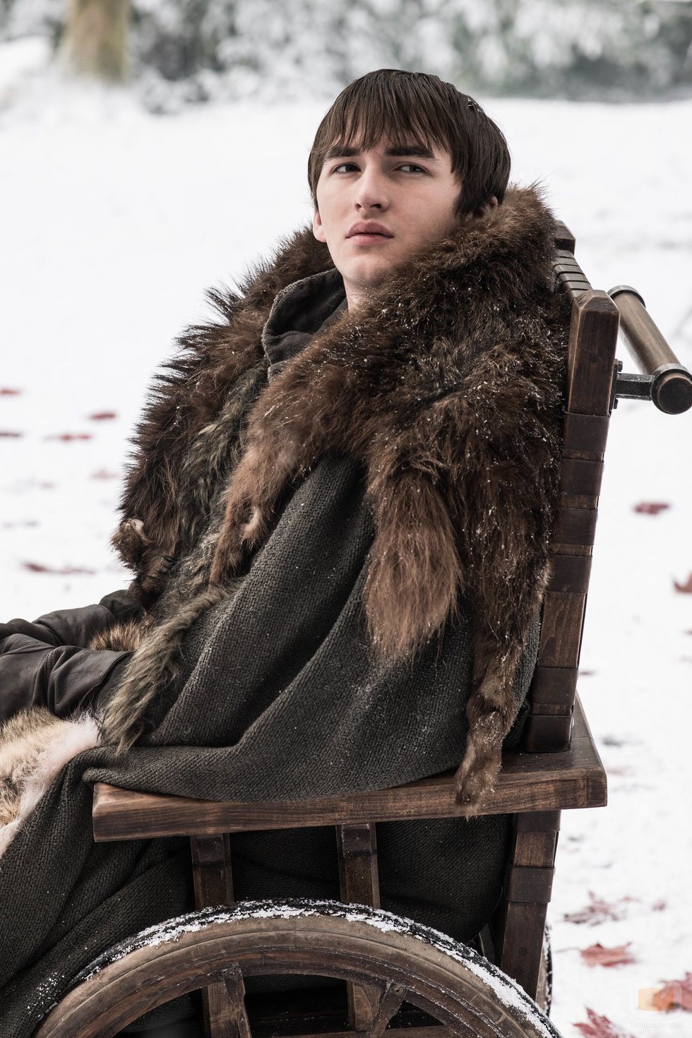 Bran Stark en el Bosque de Dioses durante el 8x02 de 'Juego de Tronos'