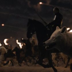Fantasma camina con los dothrakis, dirigidos por Jorah, en el 8x03 de 'Juego de Tronos'