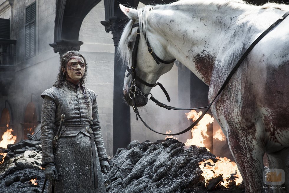 Arya frente a un caballo blanco en el 8x05 de 'Juego de Tronos'