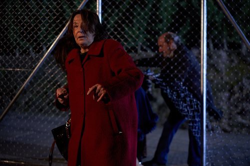 Doña Fina se cuela por una valla con Enrique en el 11x06 de 'La que se avecina'