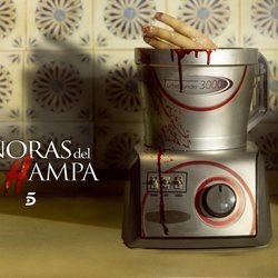 Imagen promocional de 'Señoras del (h)AMPA'