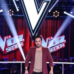 David Bustamante en una imagen promocional de 'La Voz Senior'