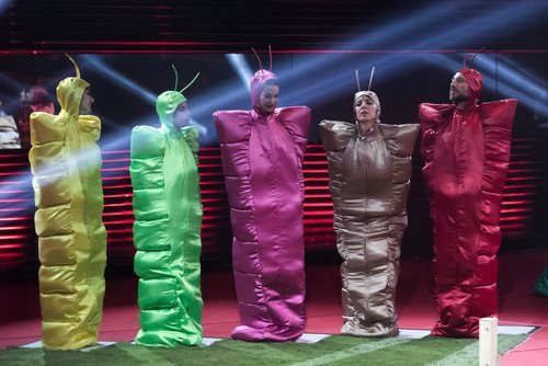 Adara, Anabel Pantoja, Estela Grande, Irene Junquera y Antonio David Flores, en la Gala 2 de 'GH VIP 7'