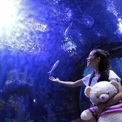 Melani García rueda en el Oceanogràfic el videoclip de "Marte"