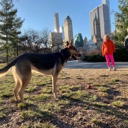 Mercedes Milá juega con un perro en Nueva York en la temporada 2 de 'Scott y Milá'