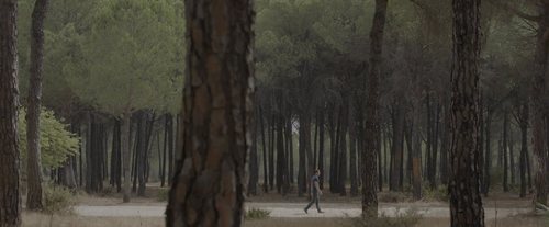 Escena en el bosque en 'Bajo escucha. El acusado'