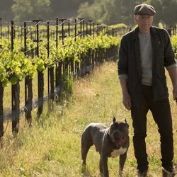 Jean-Luc Picard da un paseo por su viñedo en 'Star Trek: Picard'