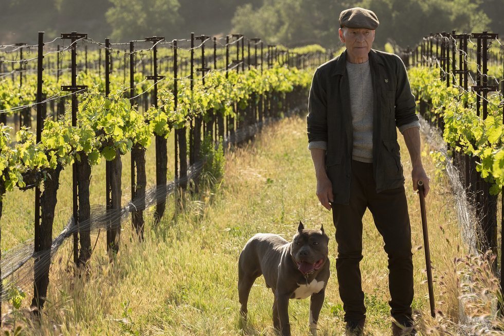 Jean-Luc Picard da un paseo por su viñedo en 'Star Trek: Picard'