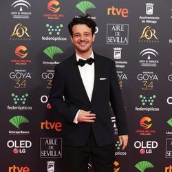 Fernando Tielve en la alfombra roja de los Premios Goya 2020