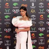 Dulceida posa en la alfombra roja de los Premios Goya 2020