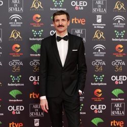 Julián Villagrán en la alfombra roja de los Premios Goya 2020