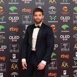 Pablo Alborán en la alfombra roja de los Premios Goya 2020