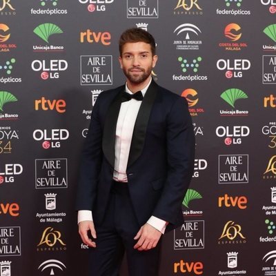 Pablo Alborán en la alfombra roja de los Premios Goya 2020