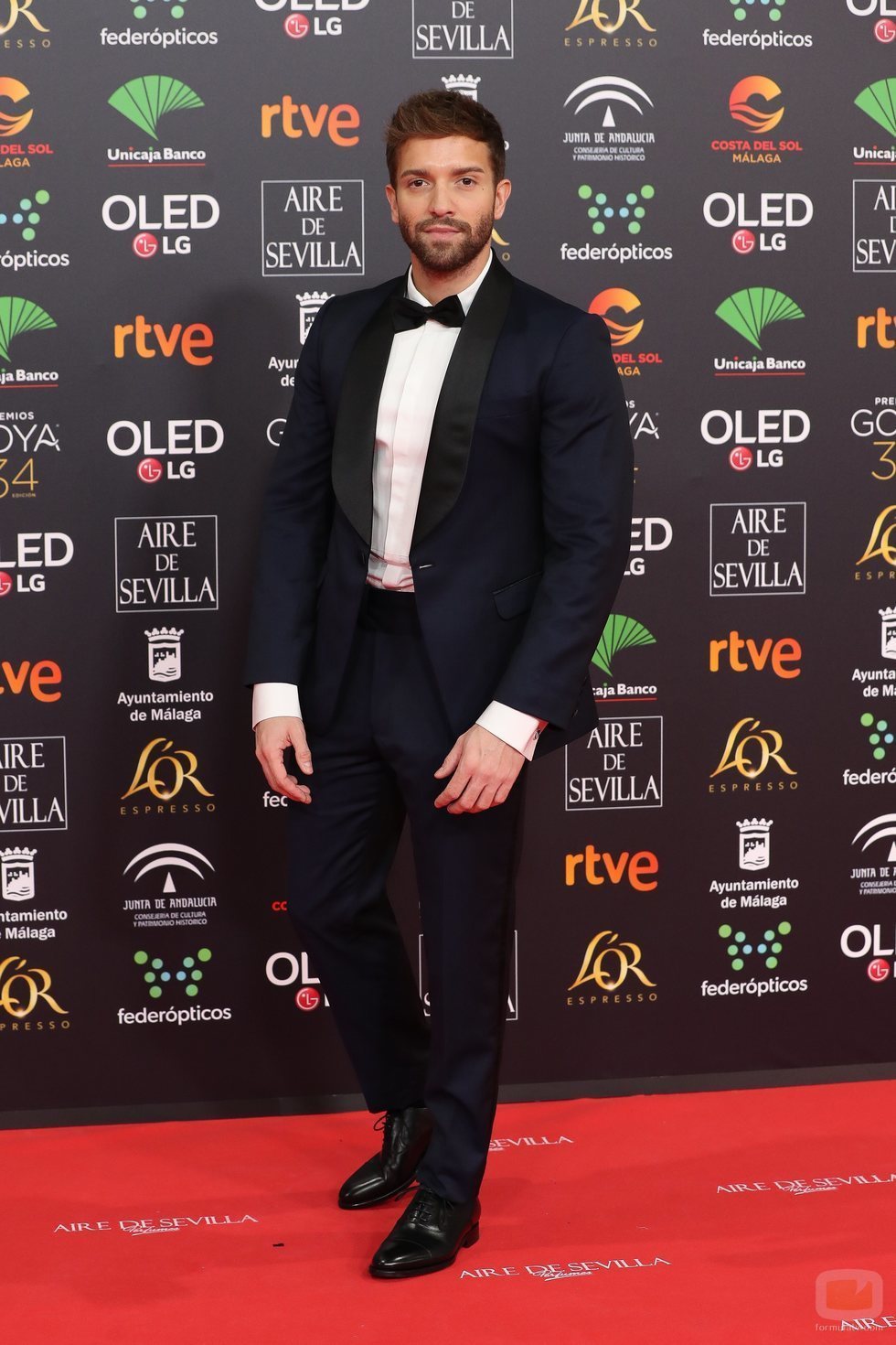 Pablo Alborán en la alfombra roja de los Premios Goya 2020