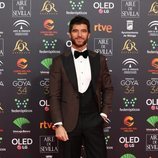 Alfonso Bassave en la alfombra roja de los Premios Goya 2020
