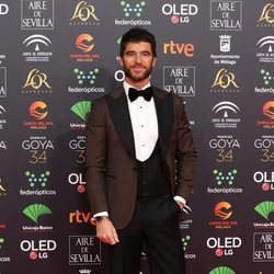 Alfonso Bassave en la alfombra roja de los Premios Goya 2020