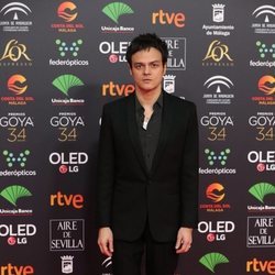 Jamie Cullum en la alfombra roja de los Premios Goya 2020