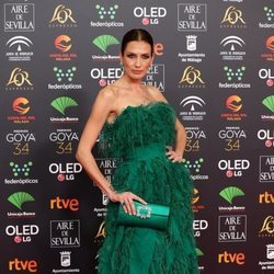 Nieves Álvarez poa en la alombra roja de los Premios Goya 2020