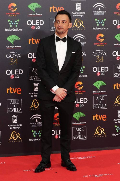 Alejandro Amenábar en la alfombra roja de los Premios Goya 2020