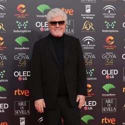 Pedro Almodóvar en la alfombra roja de los Premios Goya 2020