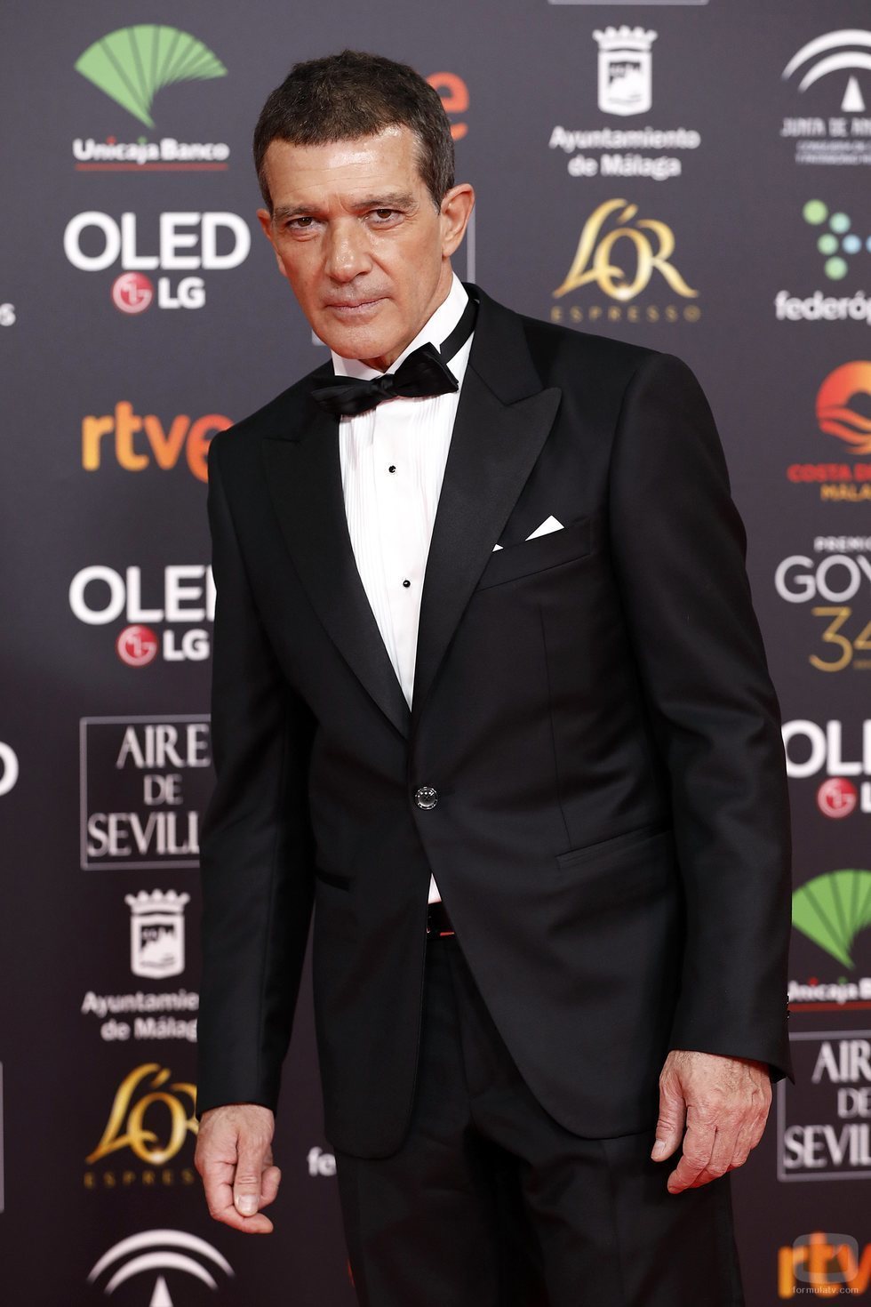 Antonio Banderas en la alfombra roja de los Premios Goya 2020
