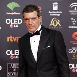 Antonio Banderas en la alfombra roja de los Premios Goya 2020