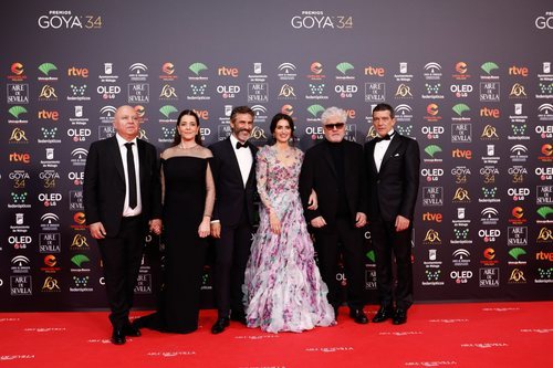 Equipo de "Dolor y gloria" en la alfombra roja de los Premios Goya 2020