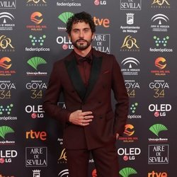 Paco León en la alfombra roja de los Premios Goya 2020