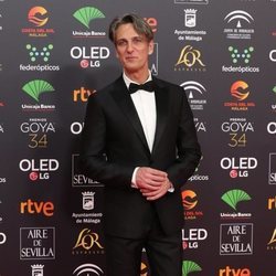 Ernesto Alterio en la alfombra roja de los Premios Goya 2020