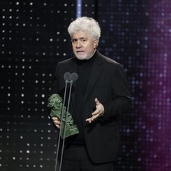 Pedro Almodóvar recoge el premio a Mejor Guion Original por "Dolor y gloria"