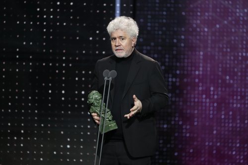 Pedro Almodóvar recoge el premio a Mejor Guion Original por "Dolor y gloria"