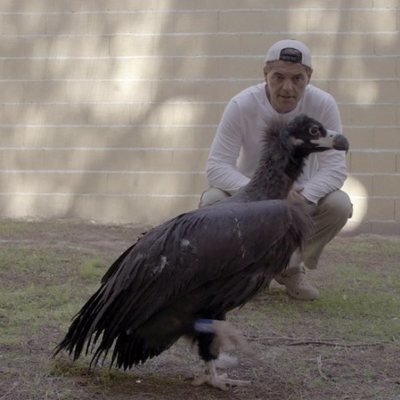 Frank Cuesta con el buitre negro en 'Wild Frank: El legado de Félix'