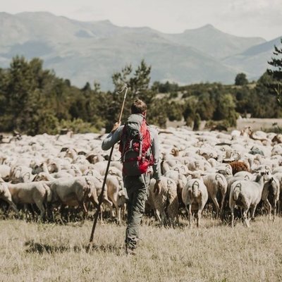 Zacarías Fievet es el presentador de 'Entre ovejas'