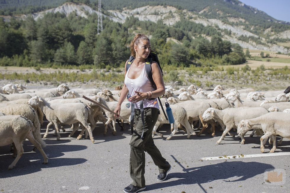 Mariló Montero se convierte en pastora en 'Entre ovejas'
