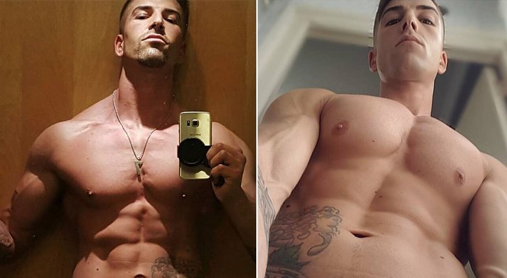 Sensual desnudo integral de Labrador