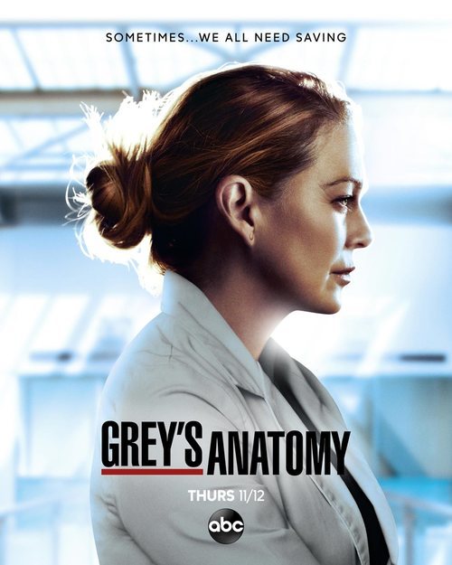 Cartel promocional de la temporada 17 de 'Anatomía de Grey'