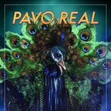 La máscara de Pavo Real en 'Mask singer: adivina quien canta'